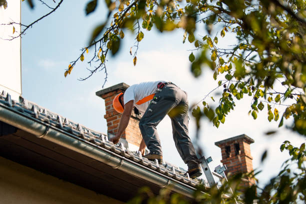 Best Roof Gutter Cleaning  in George, IA