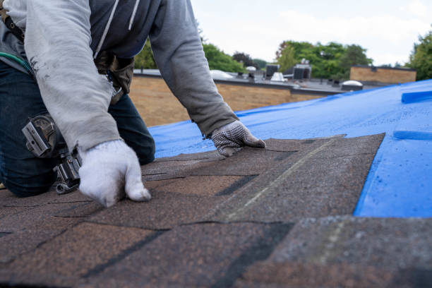 Best Roof Maintenance Services  in George, IA