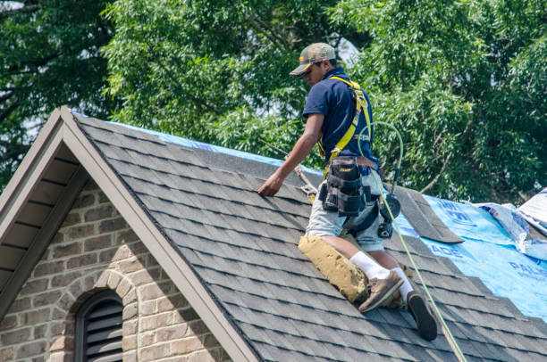 Best Storm Damage Roof Repair  in George, IA